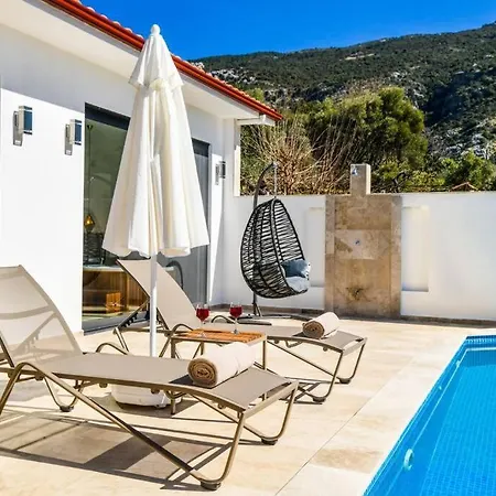 Havuz Alani Korunakli Rahat Minik Bir Villa *
