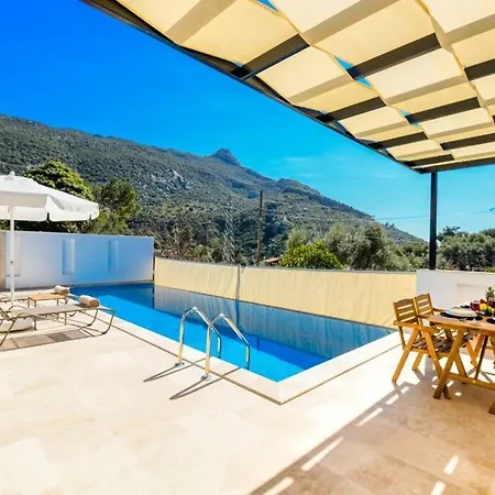 Villa Havuz Alani Korunakli Rahat Minik Bir Kas